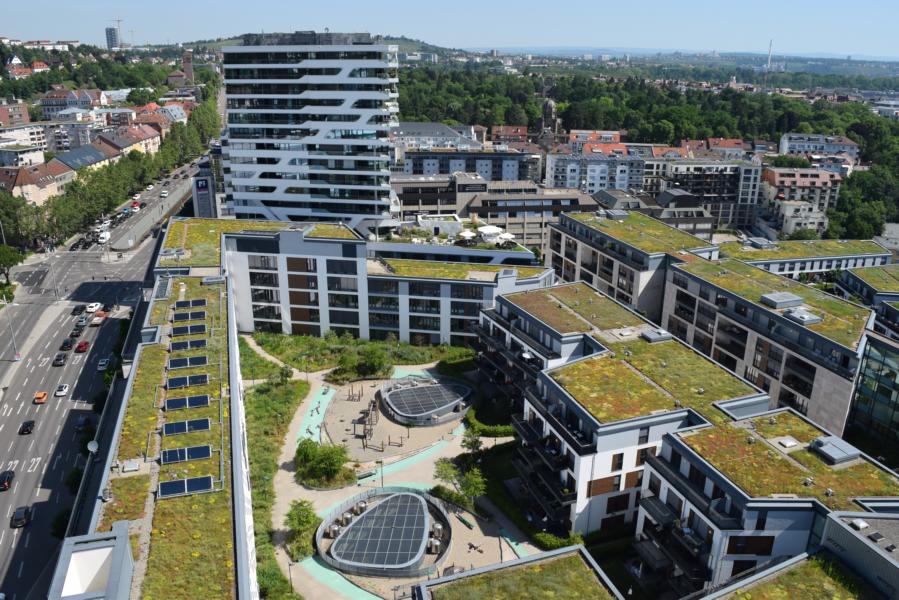 Bundeskongress Gebäudegrün am 23.-24. November 2021. „Wo steht Deutschland in Sachen Gebäudebegrünung?“ (c) Bundesverband GebäudeGrün