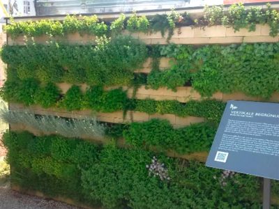 Die vertikalen Begrünungssysteme sind flexibel und modular einsetzbar.© Biolit Green Systems GmbH