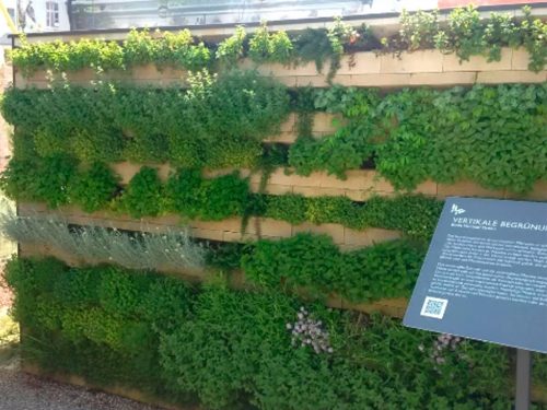 Die vertikalen Begrünungssysteme sind flexibel und modular einsetzbar.© Biolit Green Systems GmbH