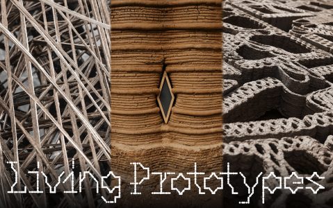 Living Prototypes Digitales Bauen mit Biomaterialien