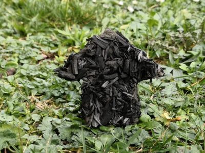 Pflanzenkohle soll im Hausbau zum Einsatz kommen und so langfristig CO2 aus der Atmosphäre entfernen. Bild: Empa