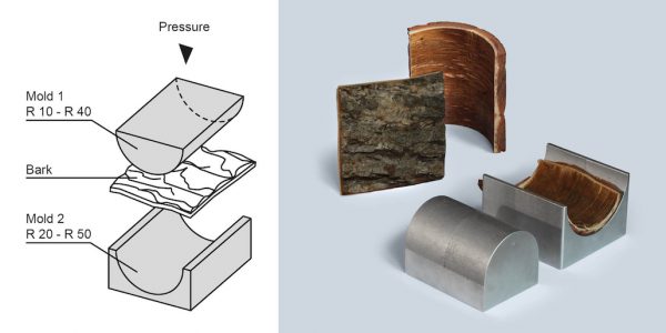 Herstellung von gekrümmten Rindenelementen Dr. Charlett Wenig © cc-by 4.0 PLOS ONE