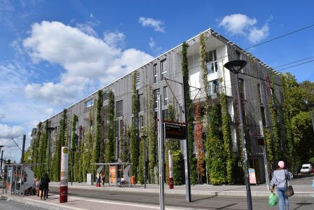 Forschungsprojekt schafft Datenbasis für eine effektive und Biodiversität fördernde Gebäudebegrünung