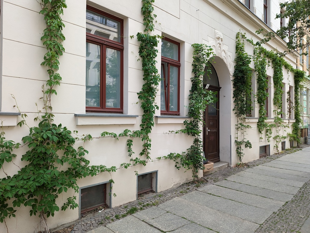 Gebäudebegrünung in Altstädten gegen die Hitze
