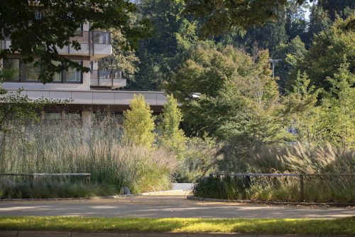 Raiffeisen Haus in Bregenz: Freiraum von Land Rise