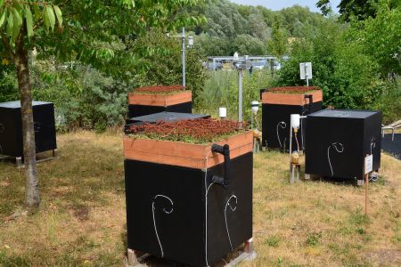 Dachbegrünung Gebäudeklimatisierung: Climate4Roofs