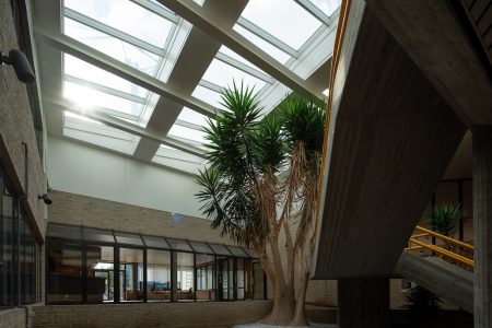 Zirkuläres Bauen mit Oberlichtern: SYNTRA setzt auf Re-Use